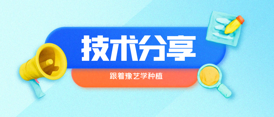 秋大棚辣椒、番茄育苗關(guān)鍵技術(shù)分享
